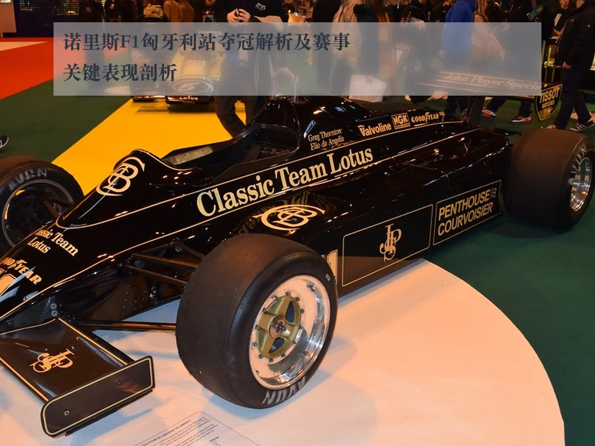 诺里斯F1匈牙利站夺冠解析及赛事关键表现剖析